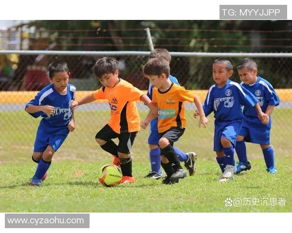 足球TFC的崛起与挑战解析探索球队背后的故事与未来发展方向