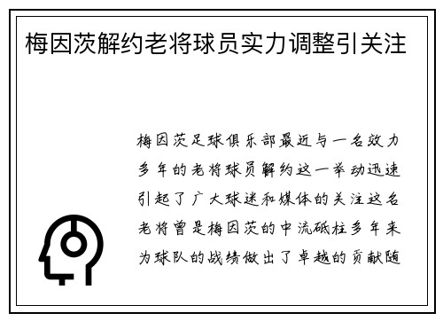 梅因茨解约老将球员实力调整引关注